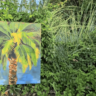 Adobe Express - River of Grass 2 copy.gif