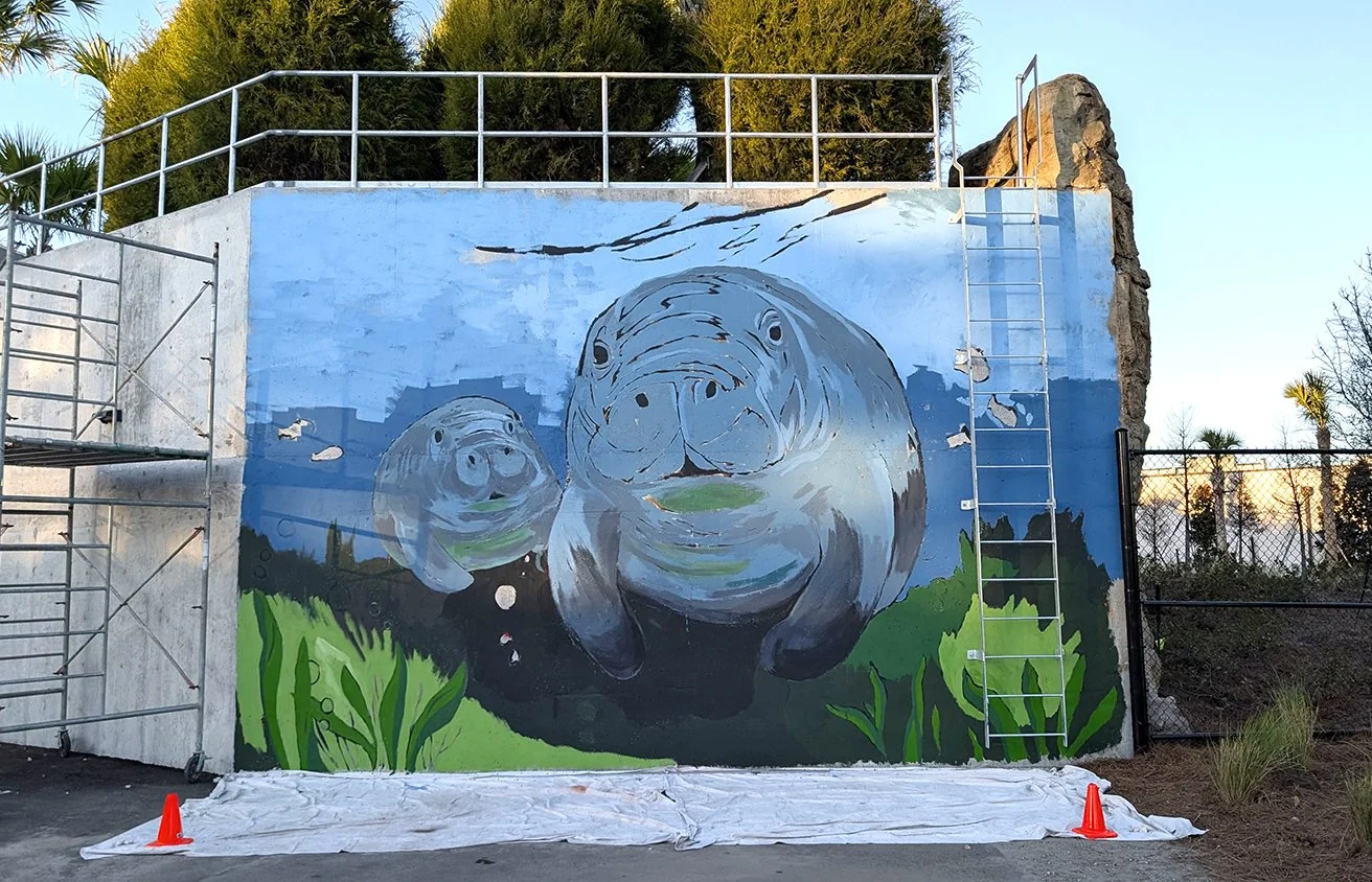 JAX Zoo Manatee Mural 4 - Website.jpg