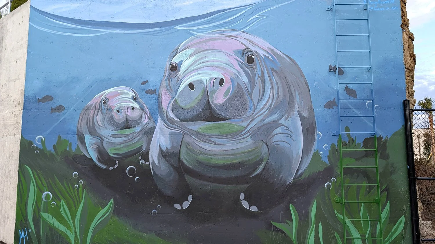 JAX Zoo Manatee Mural 1 - Website.jpg