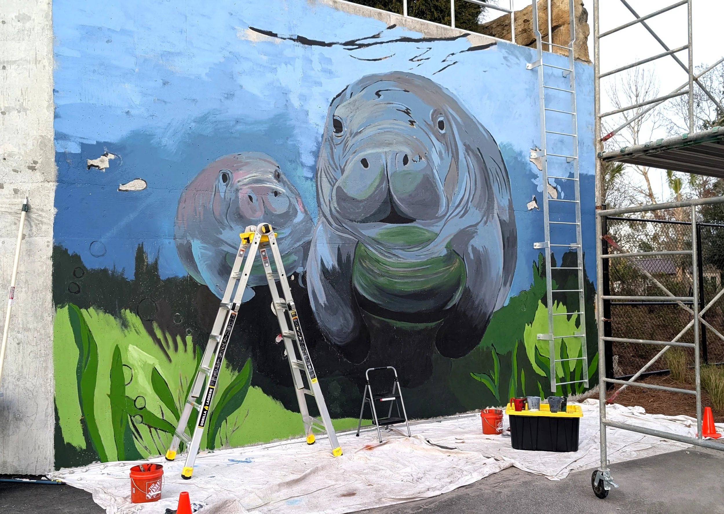 JAX Zoo Manatee Mural 5 - Website.jpg