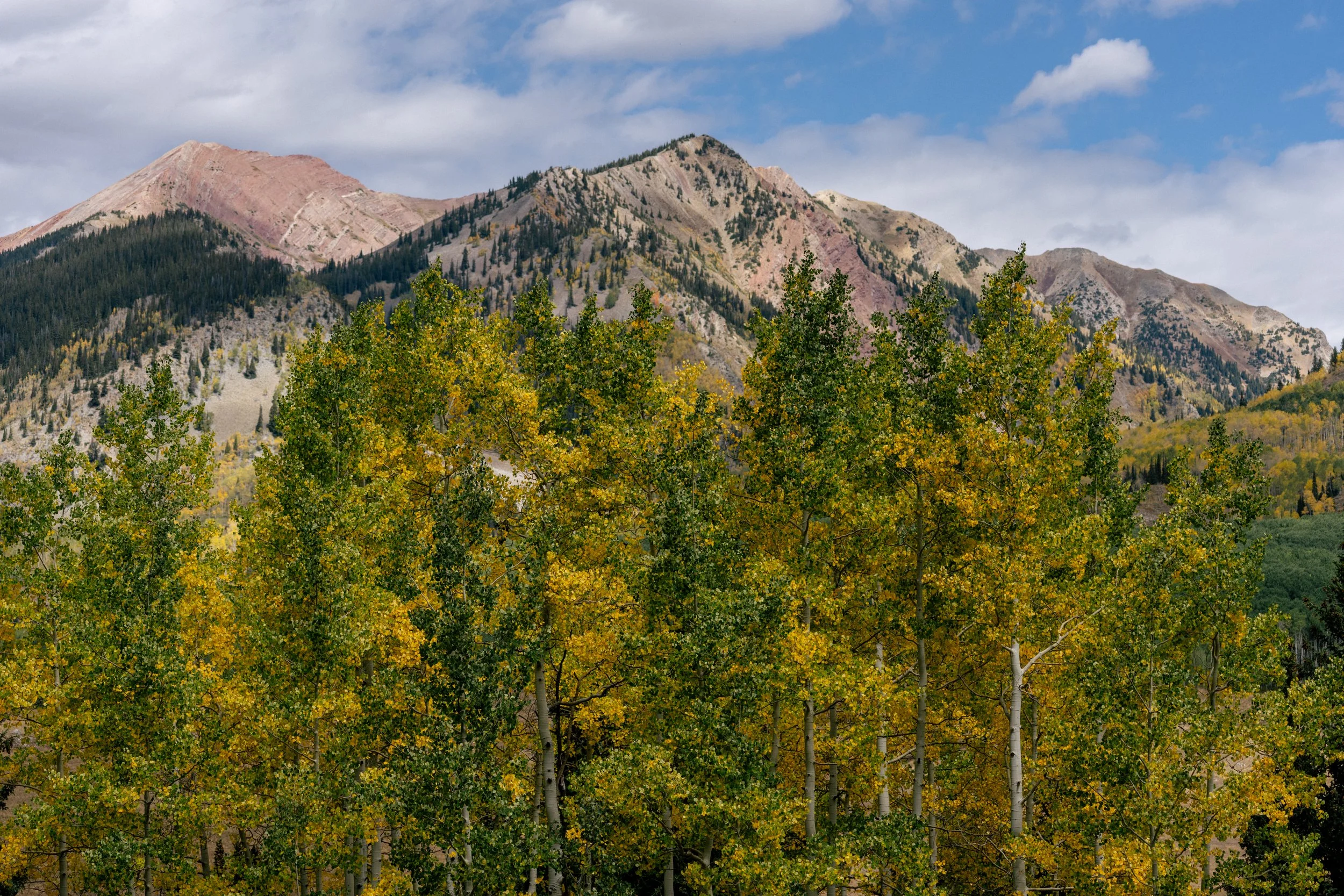 NAB01132-2.jpg