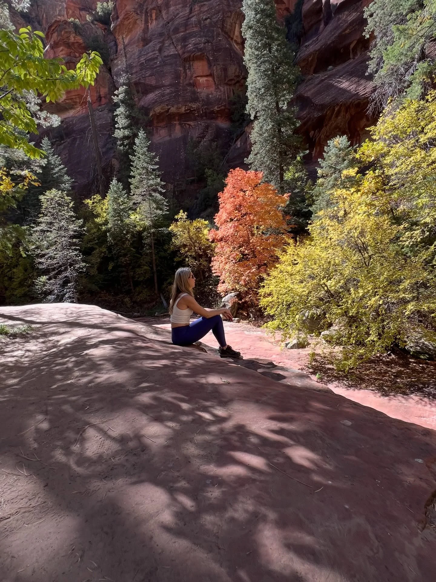 Things I want to remember about 2025 in no particular order&hellip;
1. Fall colors - Sedona
2. Date night - Desert Botanical Gardens Phoenix
3. 1st holotropic breathwork session - FL
4. Cacao reflections - Phoenix
5. Xmas hike - Scottsdale, AZ
6. Cel