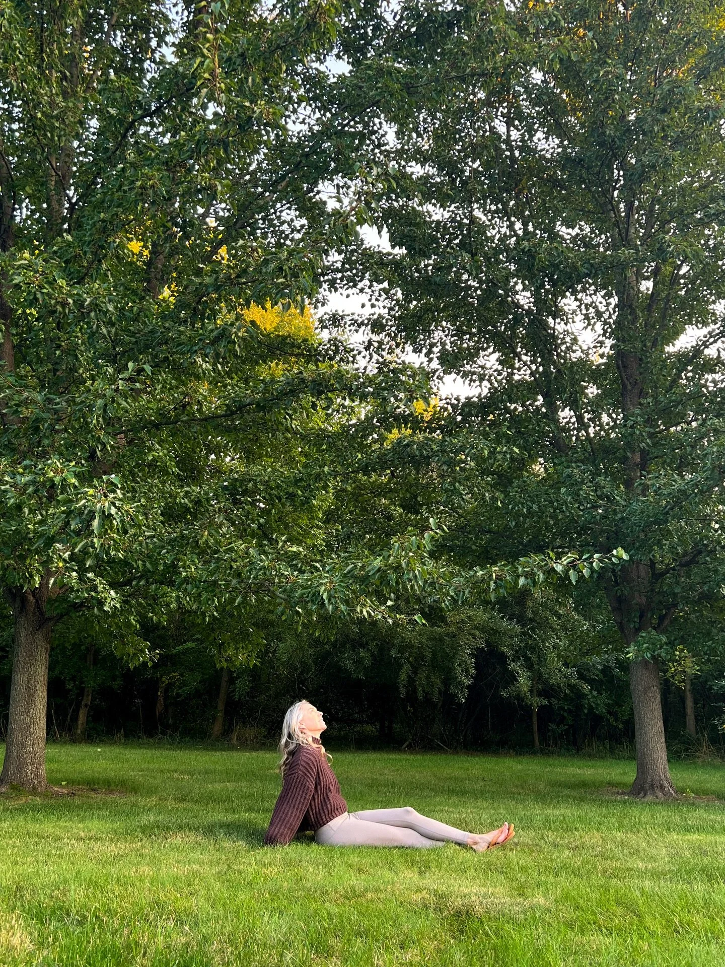 As soon as I step under canopy, my nervous system sighs. It&rsquo;s my go-to practice for helping calm my system when I&rsquo;m overwhelmed or anxious. The energy shifts, and I feel more grounded  and supported in whatever is moving through at the mo