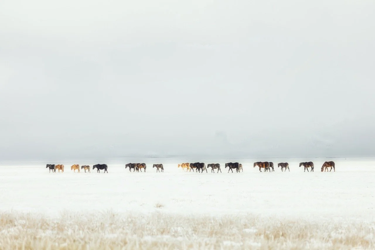 KD1-3397 copy Large.jpeg