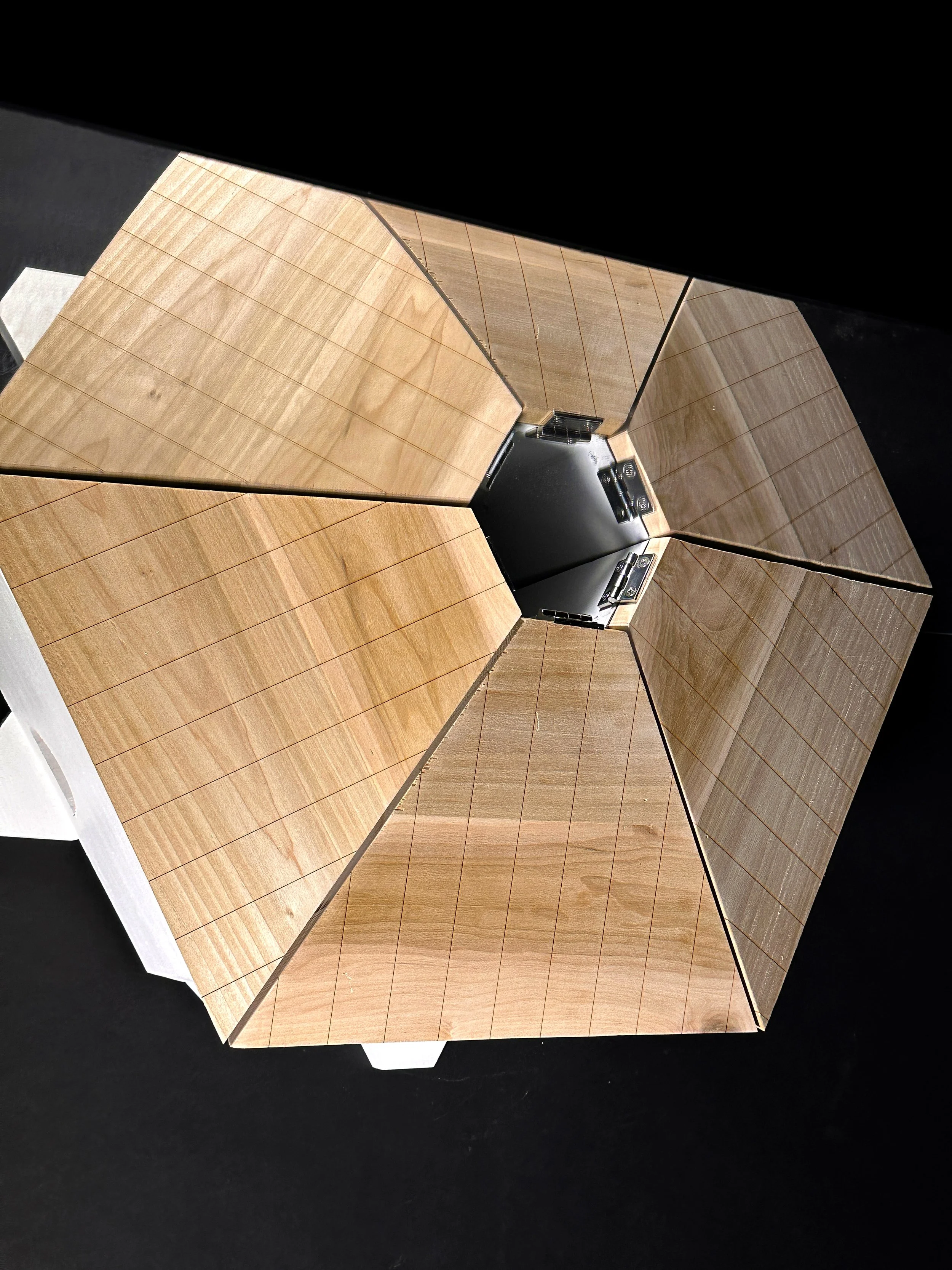 Elder_AS_Mirror 2.jpg