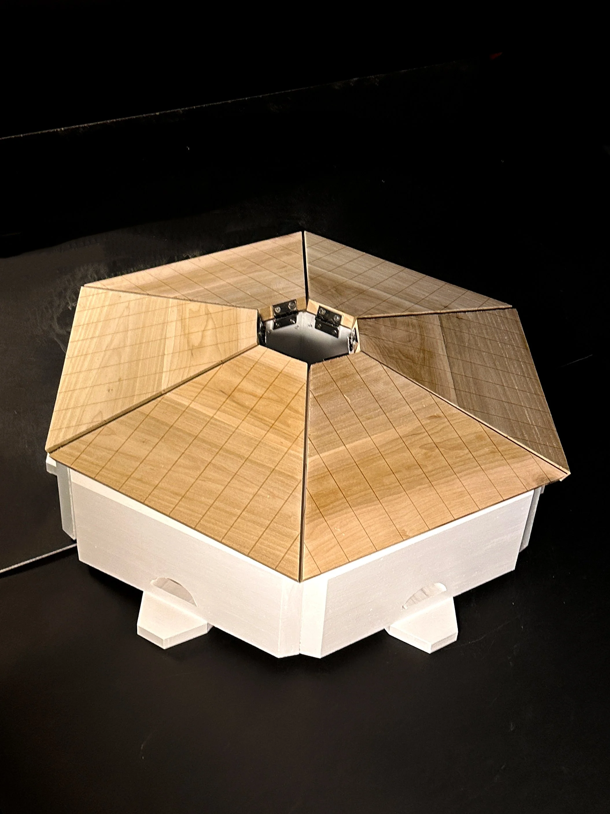 Elder_AS_Mirror 5.jpg