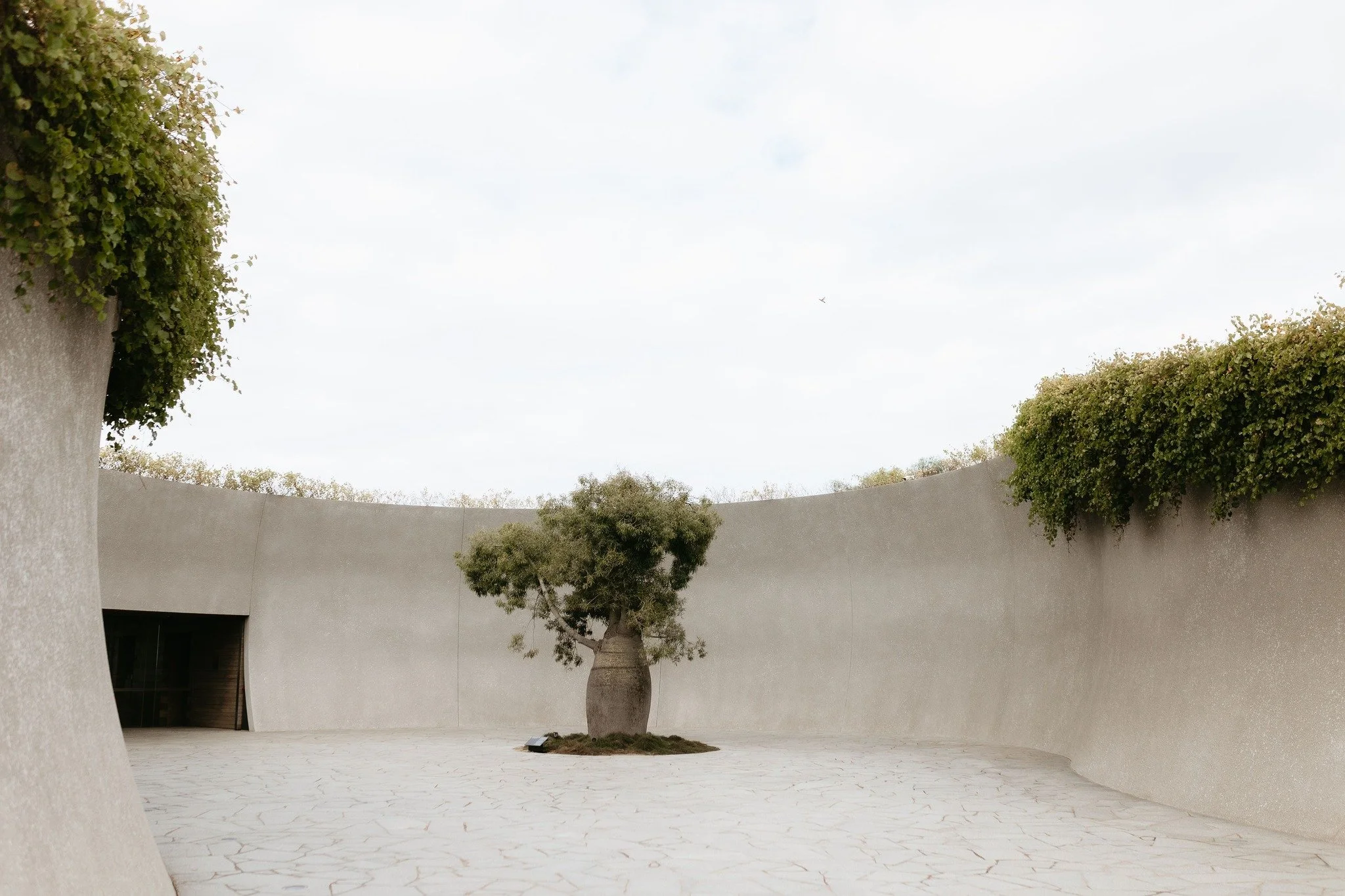 Get ready to be blown away by the absolutely stunning @ptleoestate!

You won't believe the incredible experience we had at this venue for our latest event.

#ptleoestate #morningtonpeninsula #morningtonpeninsulafood #corporateevents #eventsagency #de