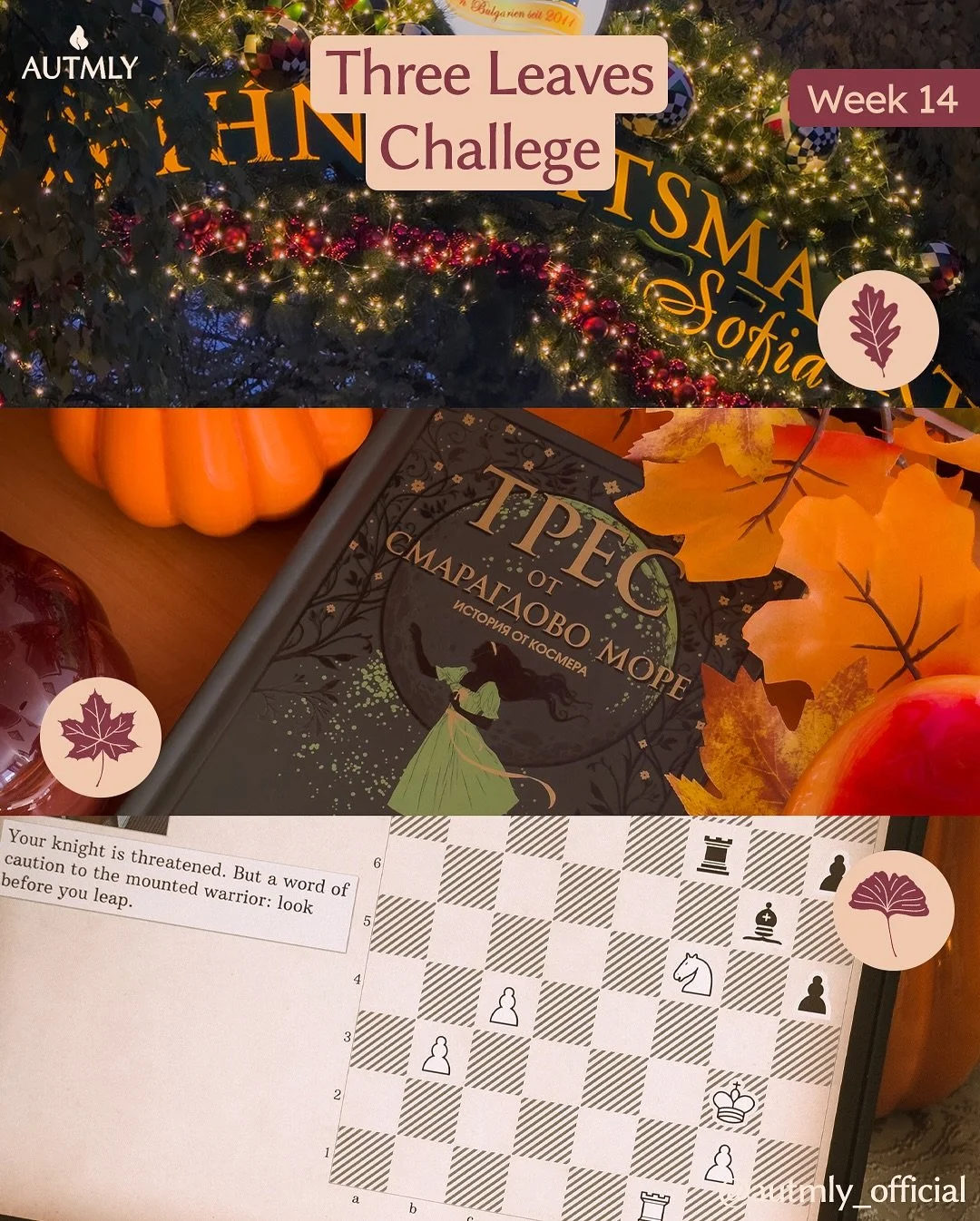 Week 14 of the Three Leaves Challenge 🍃

This week took me from Sofia&rsquo;s twinkling Christmas market to fantastical seas with Tress, and into the strategic world of chess. Three completely different experiences, but each one reminded me in its o