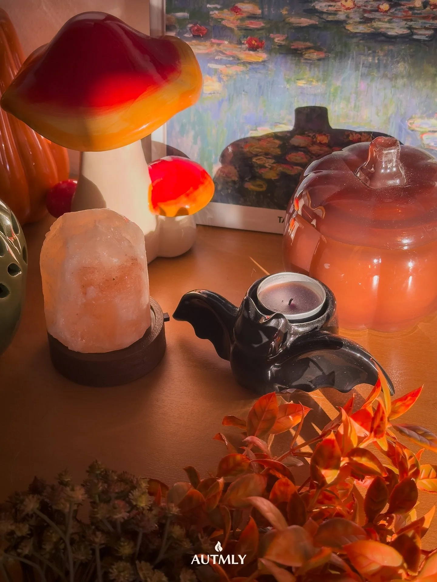 Morning light ☀️✨

#cozyvibes #cozyaesthetic #cozyathome #morninglight