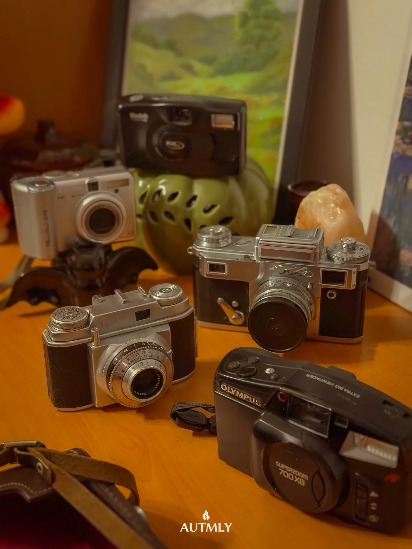 The keeper of all family cameras 🥹 

From the vintage film ones, to the first digital 📸

#filmcameras #vintagecameras #cameracollection #famillytreasures