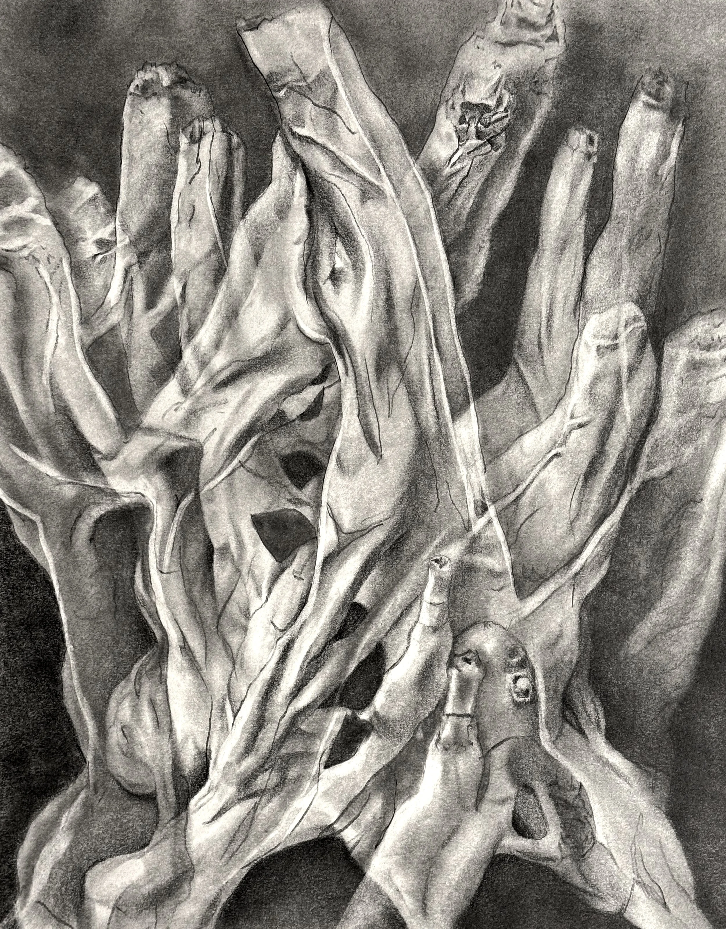 8. Dooyoung Nam - Reincarnation of Driftwood.jpg