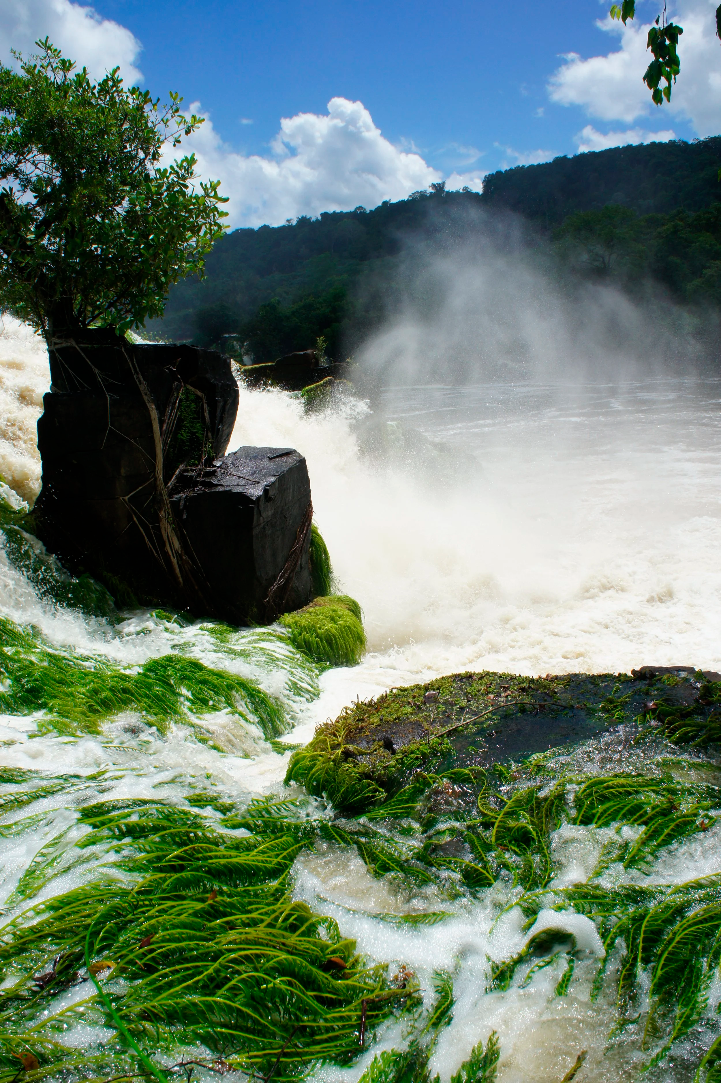 Raging river with rocks and lush greenery in foreground, mountains, and partly cloudy sky in background.