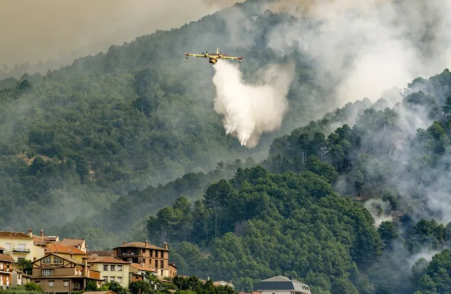 스크린샷 2025-09-04 173522.png