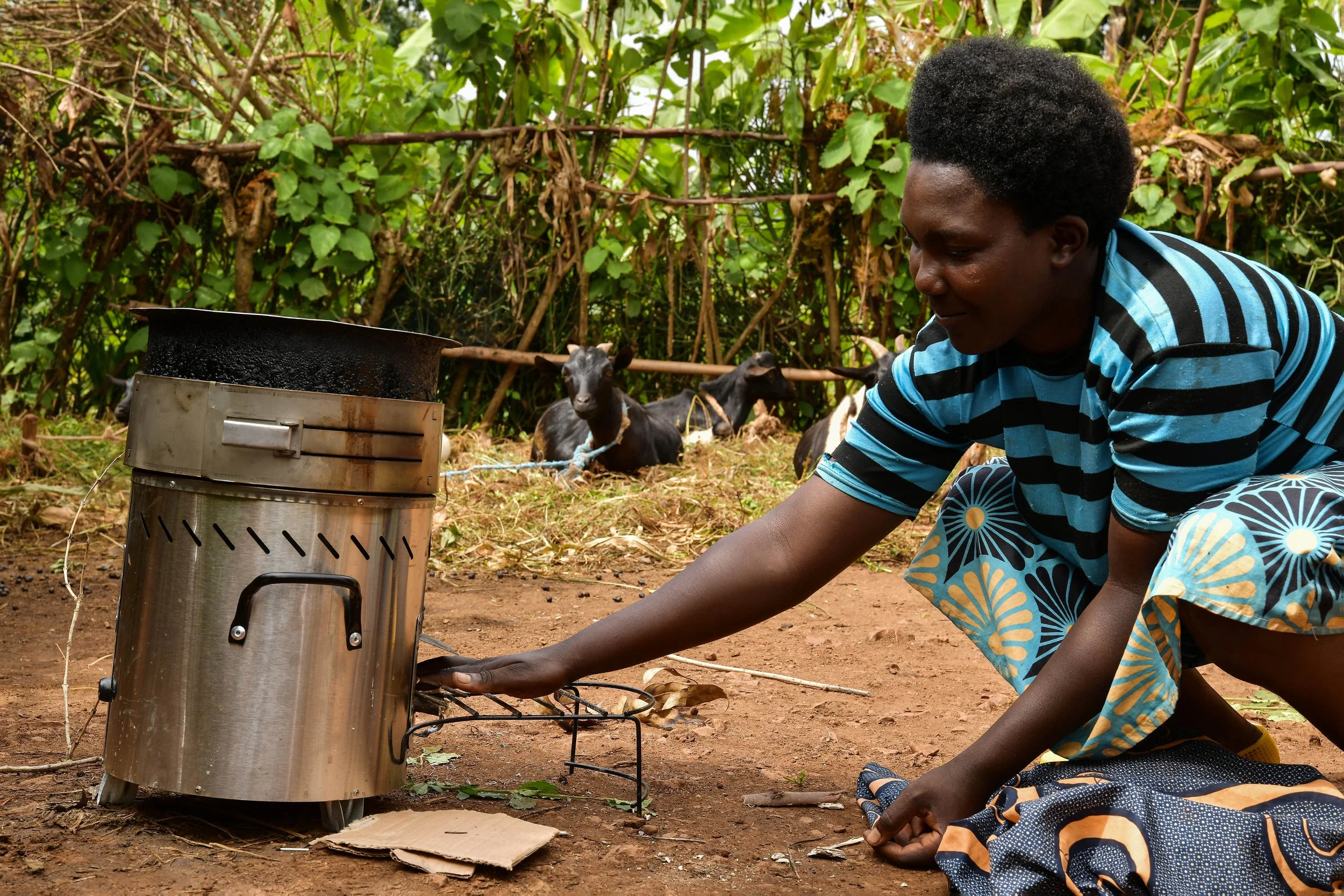 Carbon Horizon Adds CORSIA-Eligible Credits from DelAgua's Rwanda Cookstove Programme