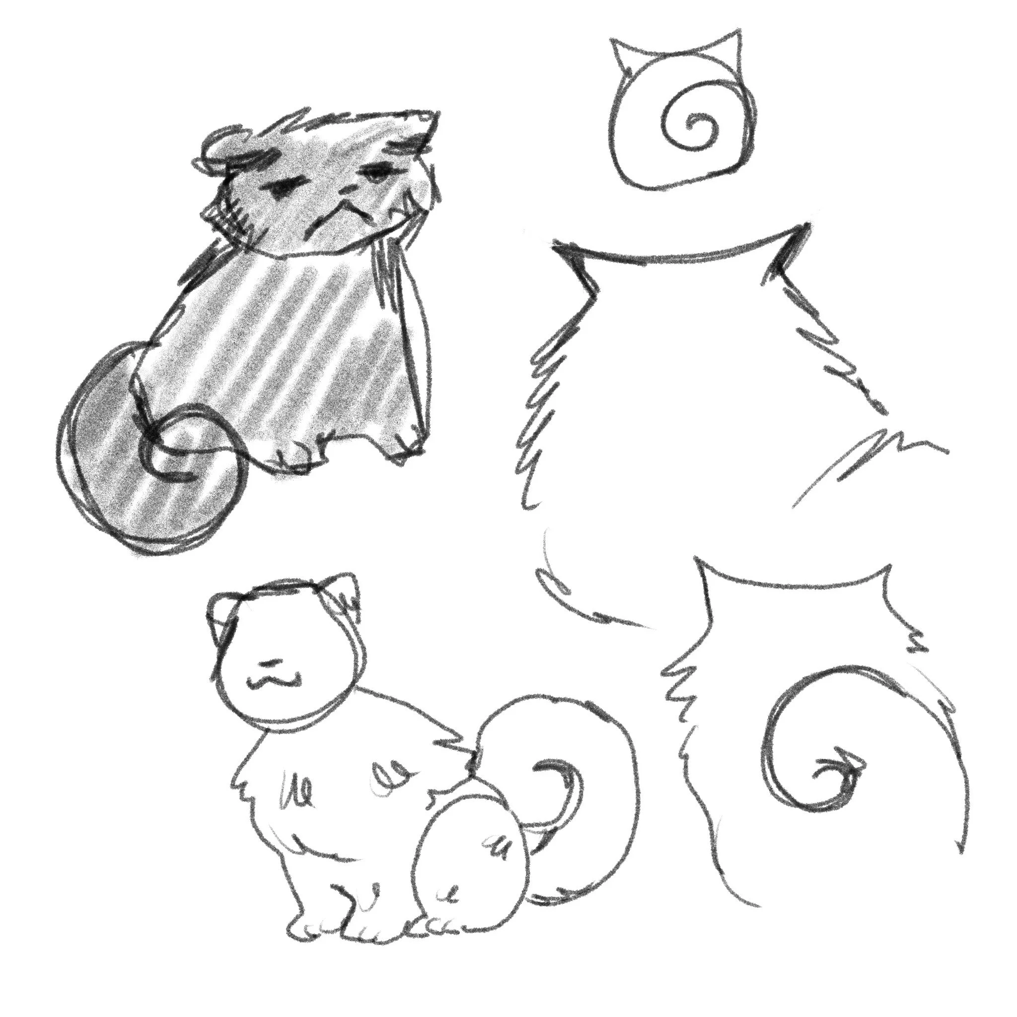 First sketches of Colenzo