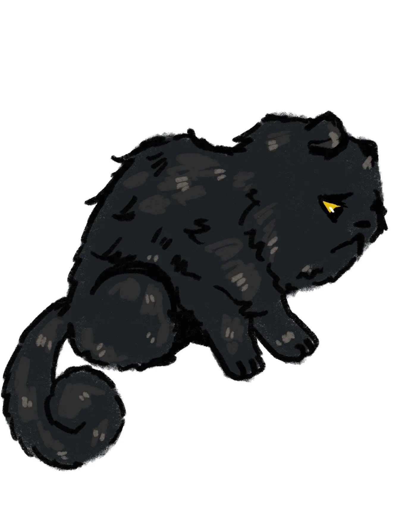 Colenzo's design