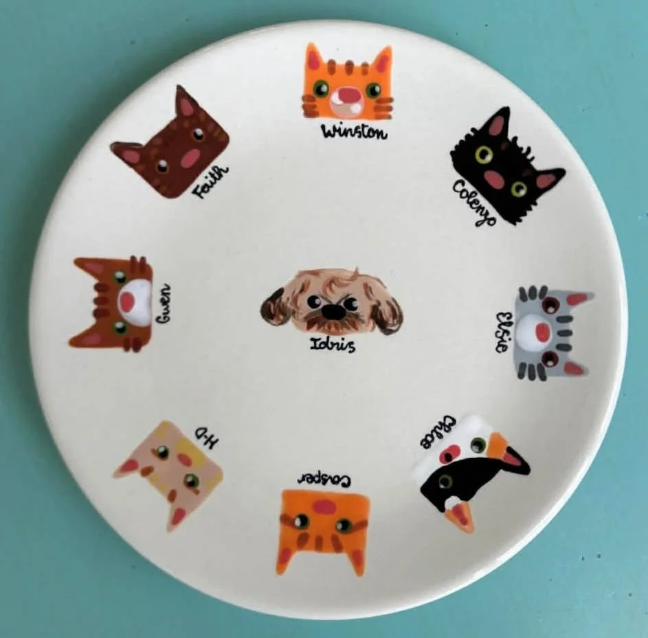 Pet plate as seen on ceramics page