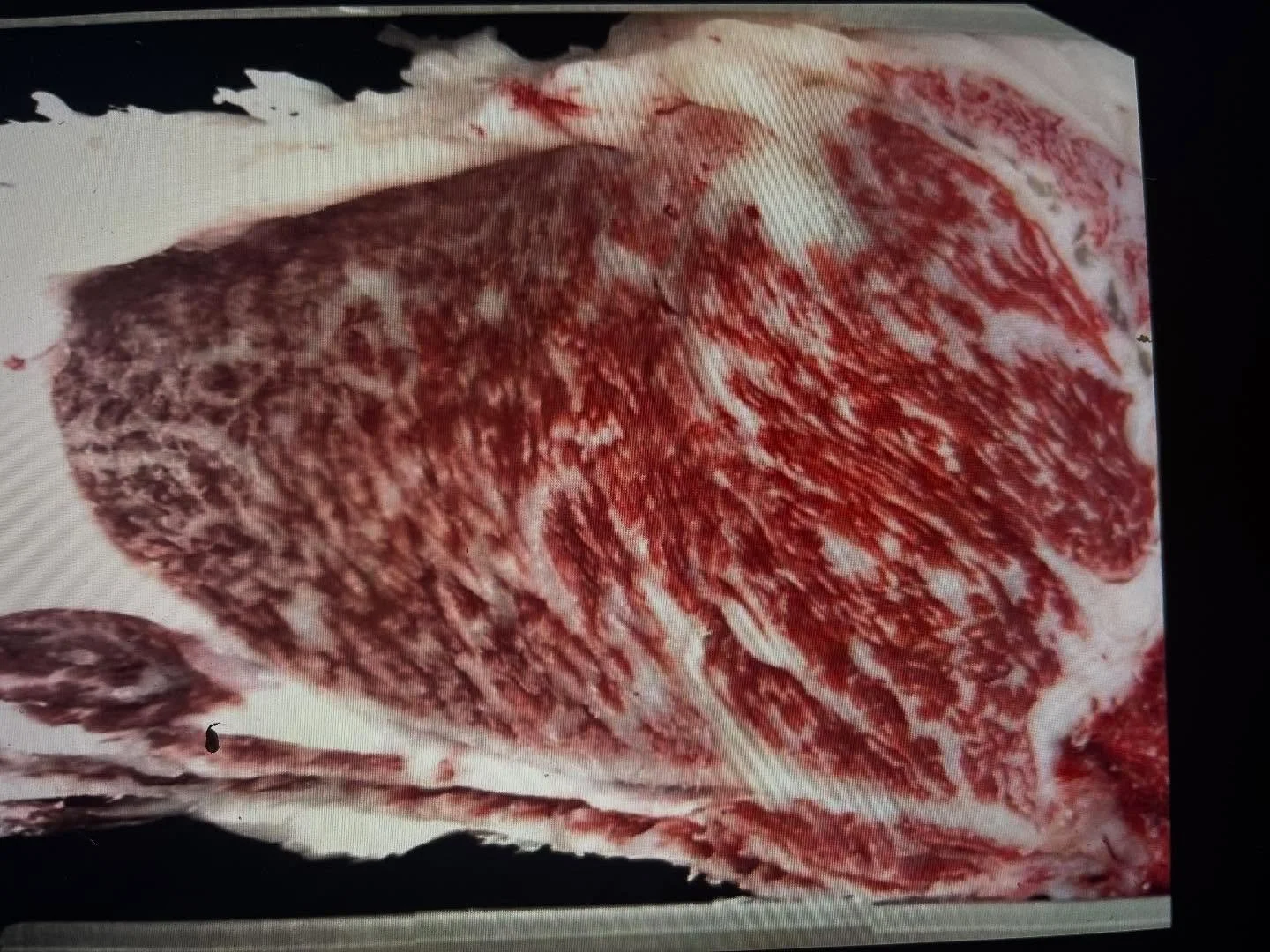 Here&rsquo;s your chance to access a pedigree worthy of a crown !! 👑

We could talk about the animals that make up this proven pedigree for hours. 

Sire - D507 from Strathdale Wagyu.
Abundant marbling and elite fineness ✅
Proven genetic outcross ✅
