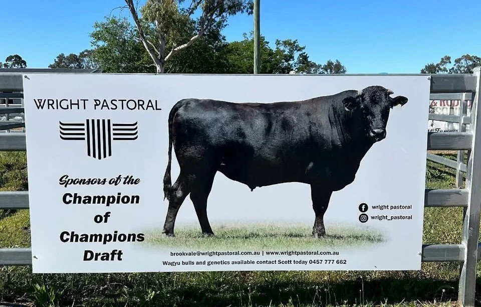 Wright Pastoral is pleased to be once again sponsors of the Champion of Champions draft at this year&rsquo;s 2025 Warwick Gold Cup Campdraft. 
Good luck to all competitors on Sunday.
#wrightpastoral
#campdrafting 
#WarwickGoldCup