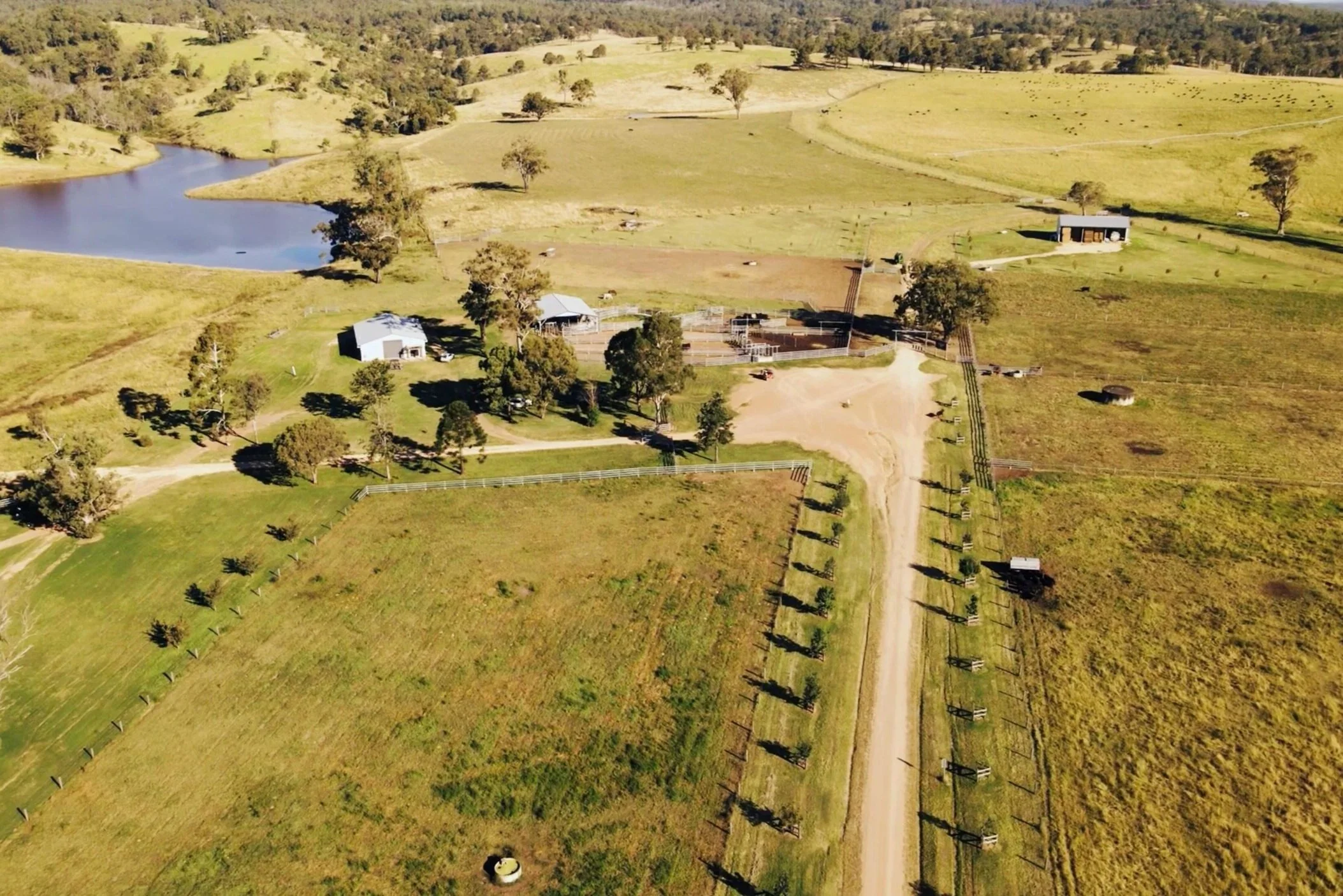 Aerial view of a rural Wagyu farmhouse and landscape with a dam, trees, farm buildings, wide green pastures and a road to the home.
