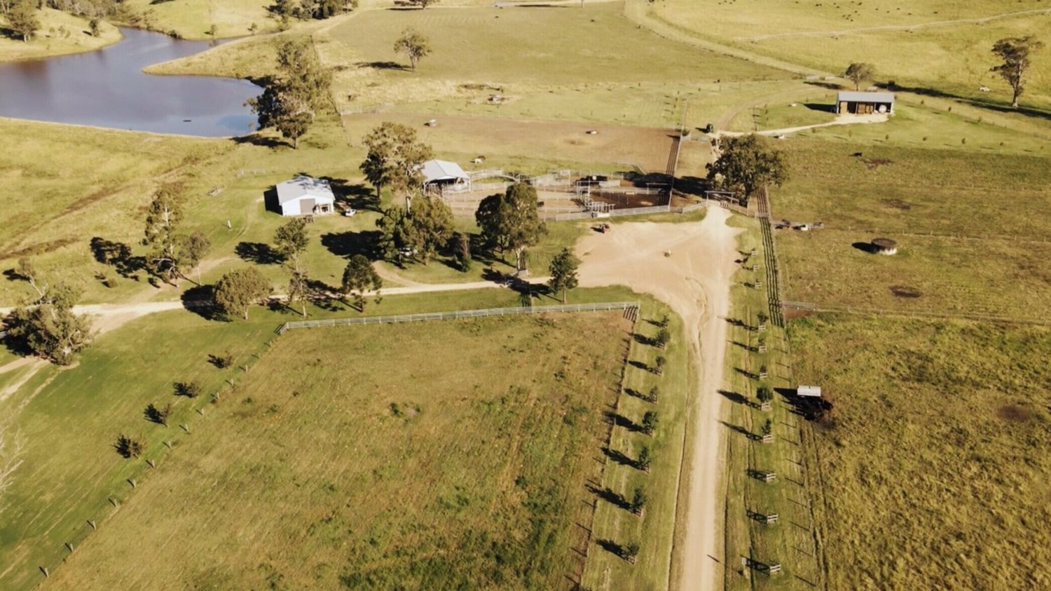 Aerial view of a rural Wagyu farmhouse and landscape with a dam, trees, farm buildings, wide green pastures and a road to the home.