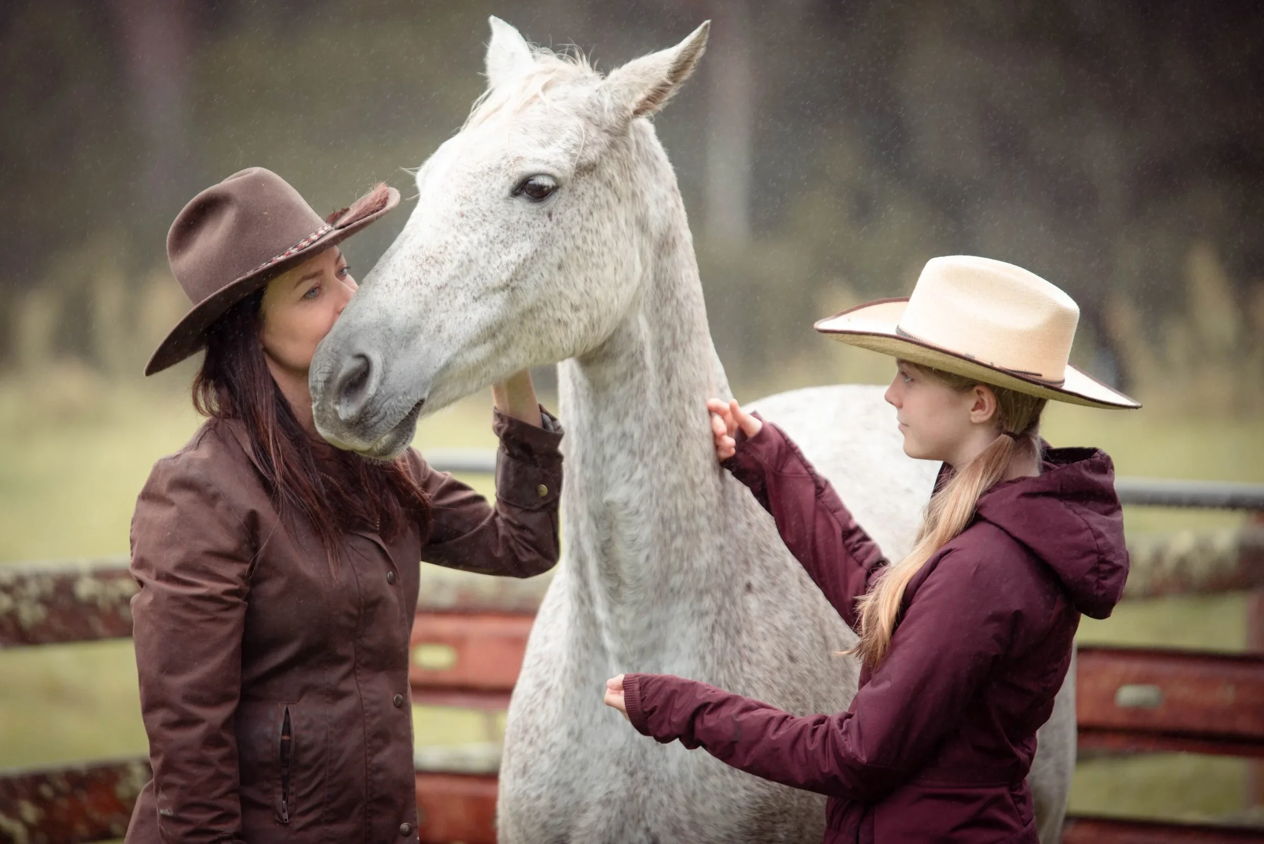 Wright family in wide-brimmed hats hats patting a grey horse outdoors on a rainy day.