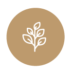 Icon line drawing of a plant with leaves encased in a gold circle.