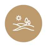 Icon of a landscape with a sun, a tree, and rolling hills encased in a gold circle.