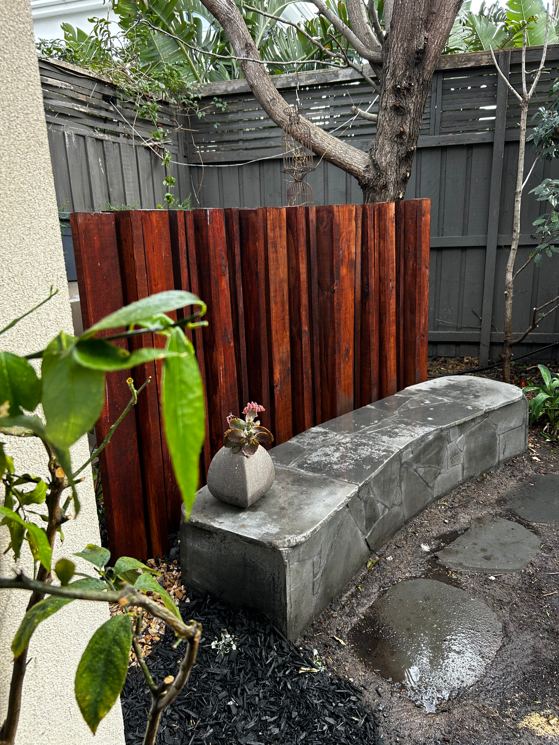 Backyard patio with a wooden fence, a curved concrete bench with a potted succulent, a muddy pathway with puddles, and trees and plants in the background.