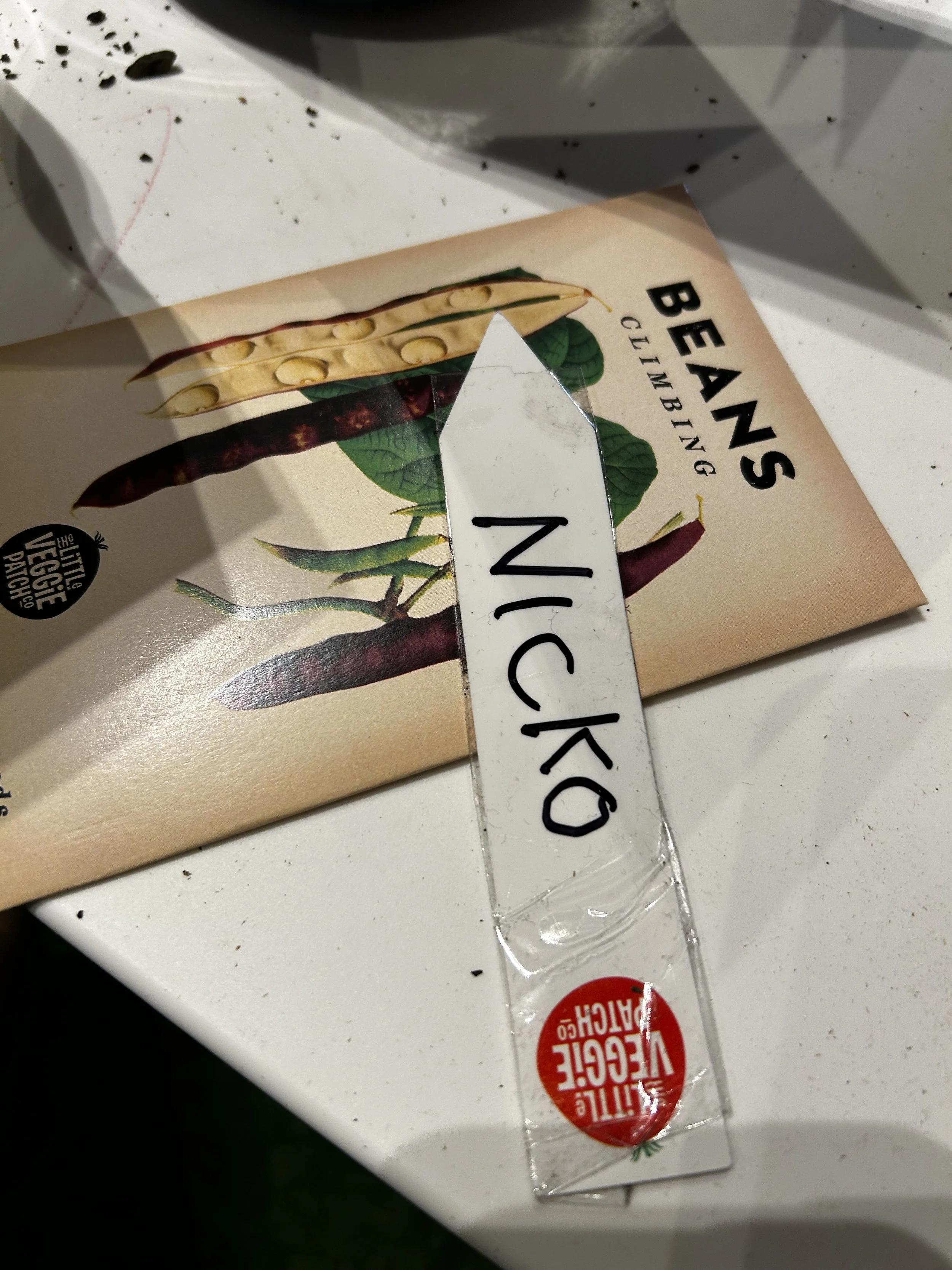 Seed packet for climbing beans from Little Veggie Patch, with various bean illustrations and a plastic marker with the word NICKO written in black.