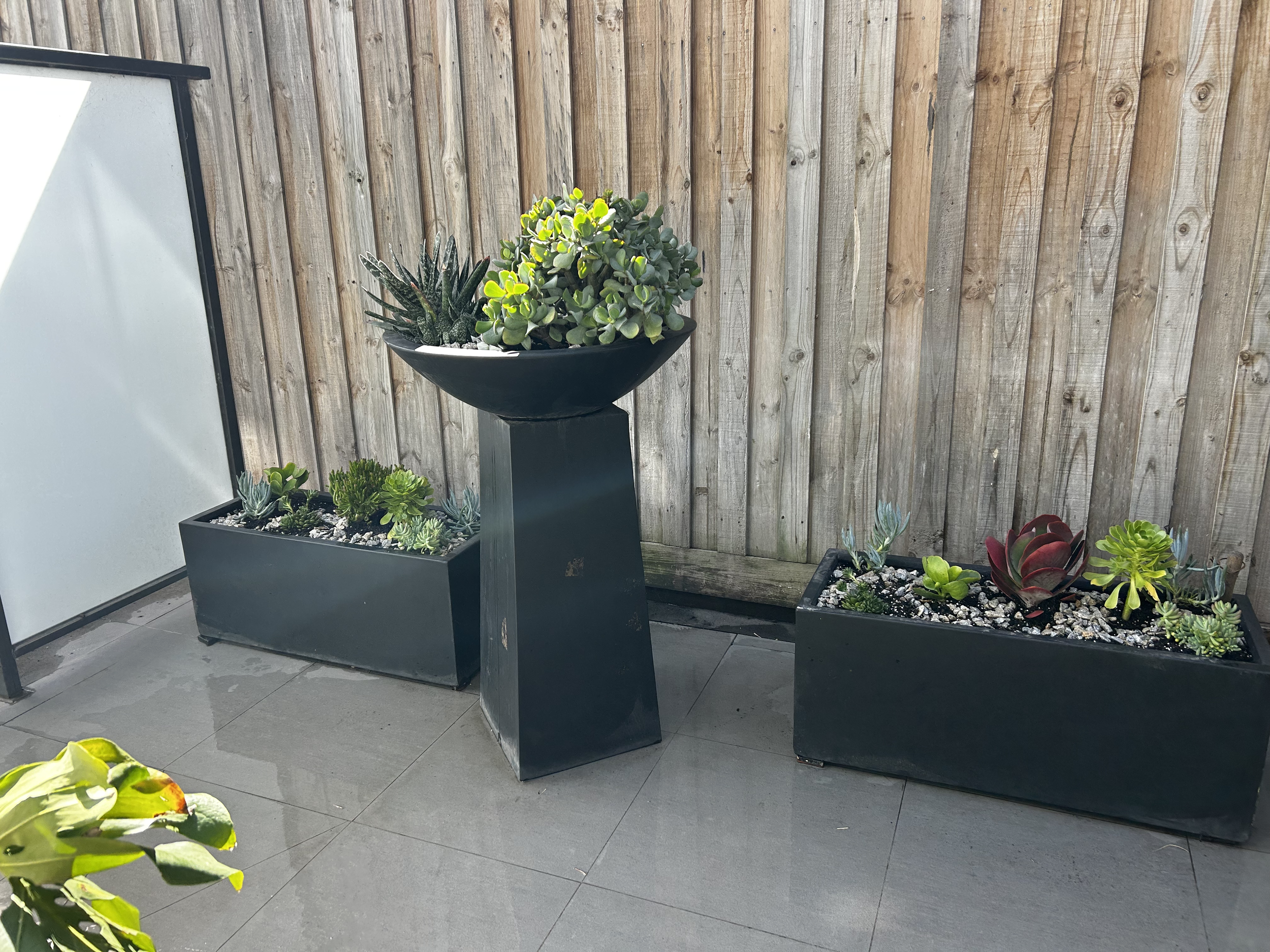 Outdoor patio with three black planters containing succulents, against a wooden fence. The planters are different sizes and shapes; one is rectangular, the second is round and elevated on a black stone stand, and the third is rectangular and placed d