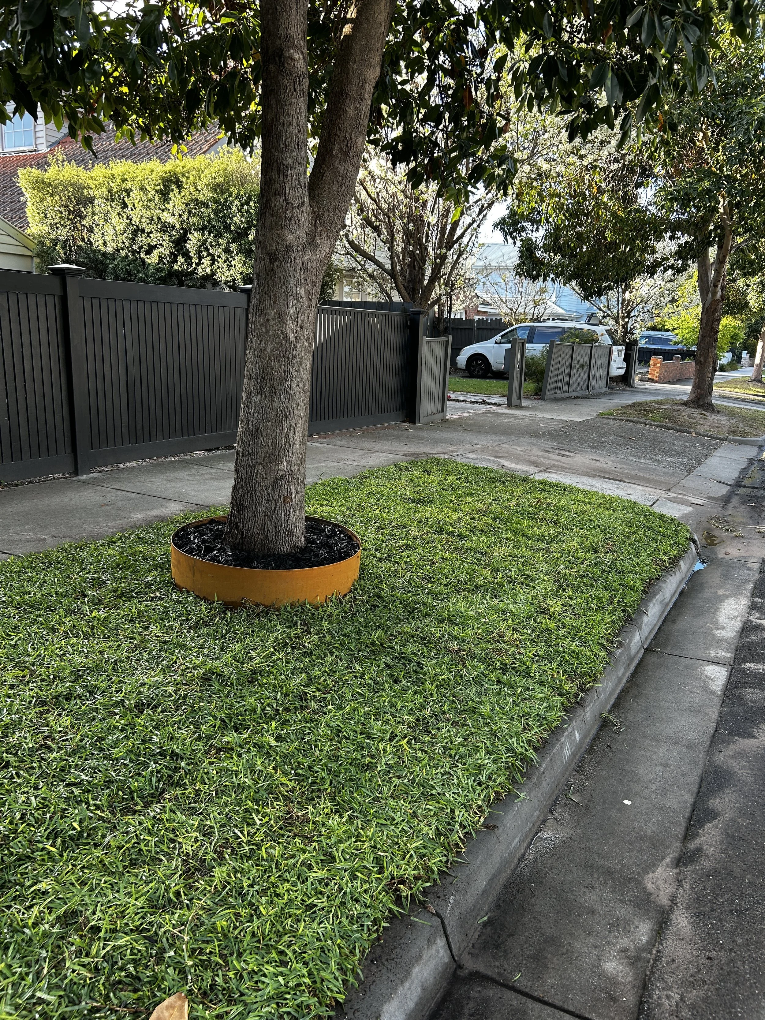 A sidewalk with a small grassy patch surrounded by a curb, a tree planted in a circular planter, and a black fence in the background. Parked cars and trees are visible along the street.