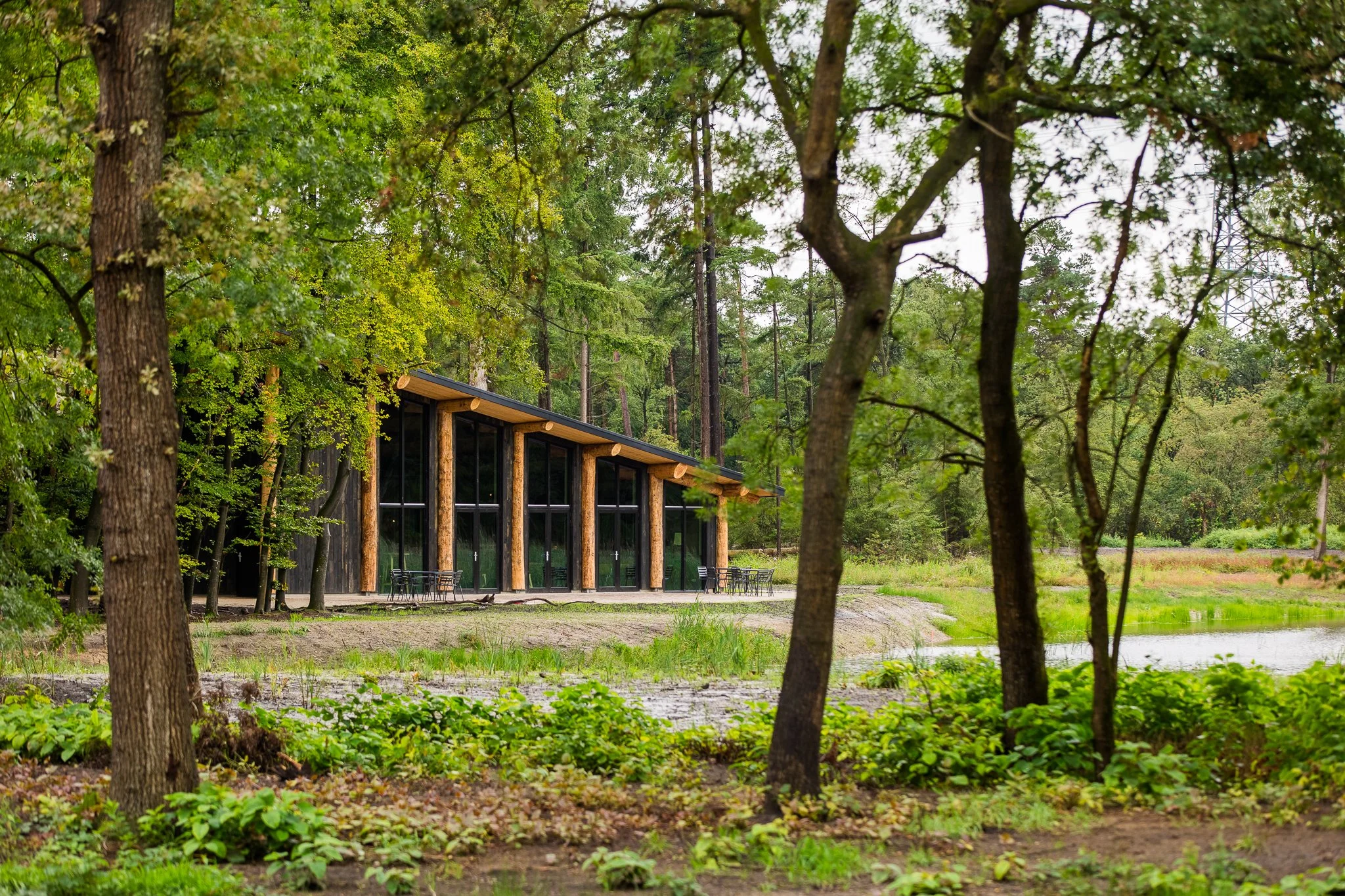 Een modern huis met grote ramen en een houten constructie, gelegen in een bosrijke omgeving met veel bomen en groen gras. Natuurbegraven, afscheidscentrum. Biobased natuurlijke bouwmaterialen. Hergebruikte materialen. Circulair ontwerp