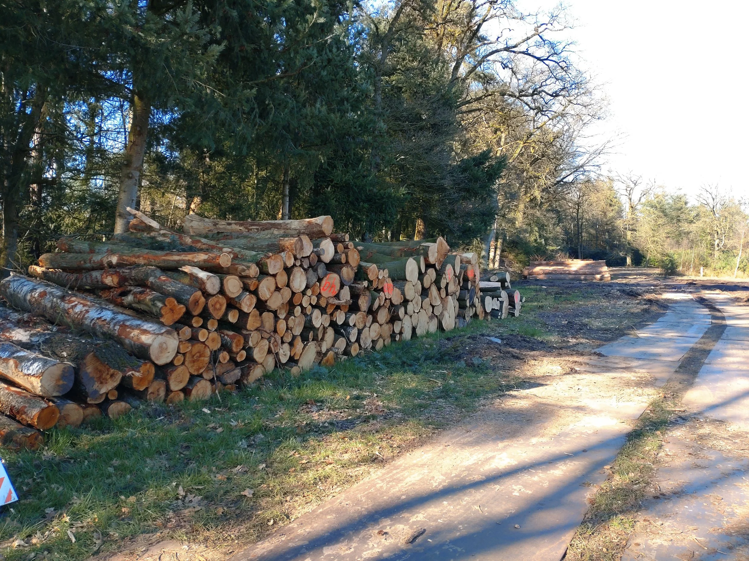 2022-03-03 14.29.31.JPG