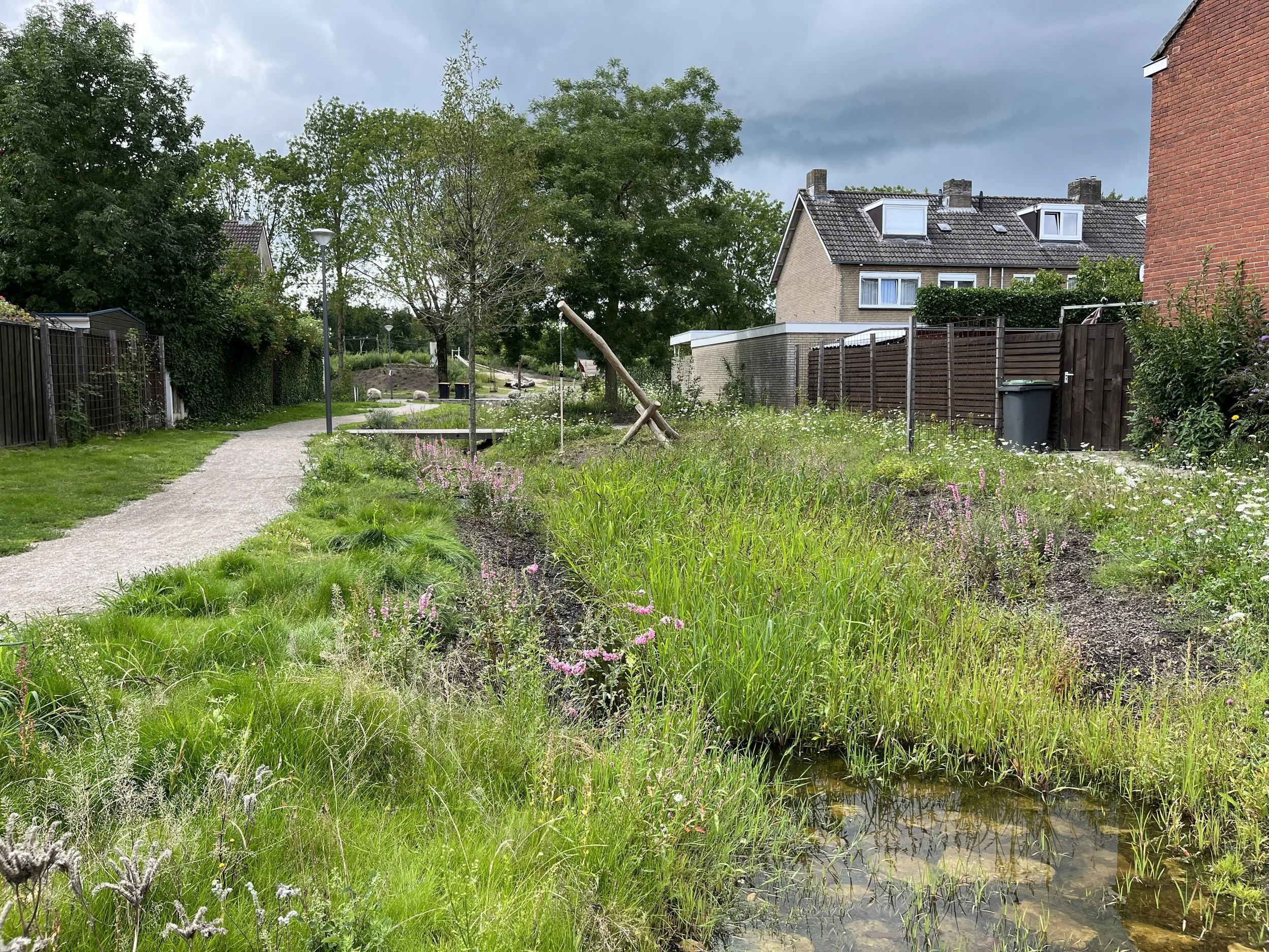 1 Blik op eiland.jpeg