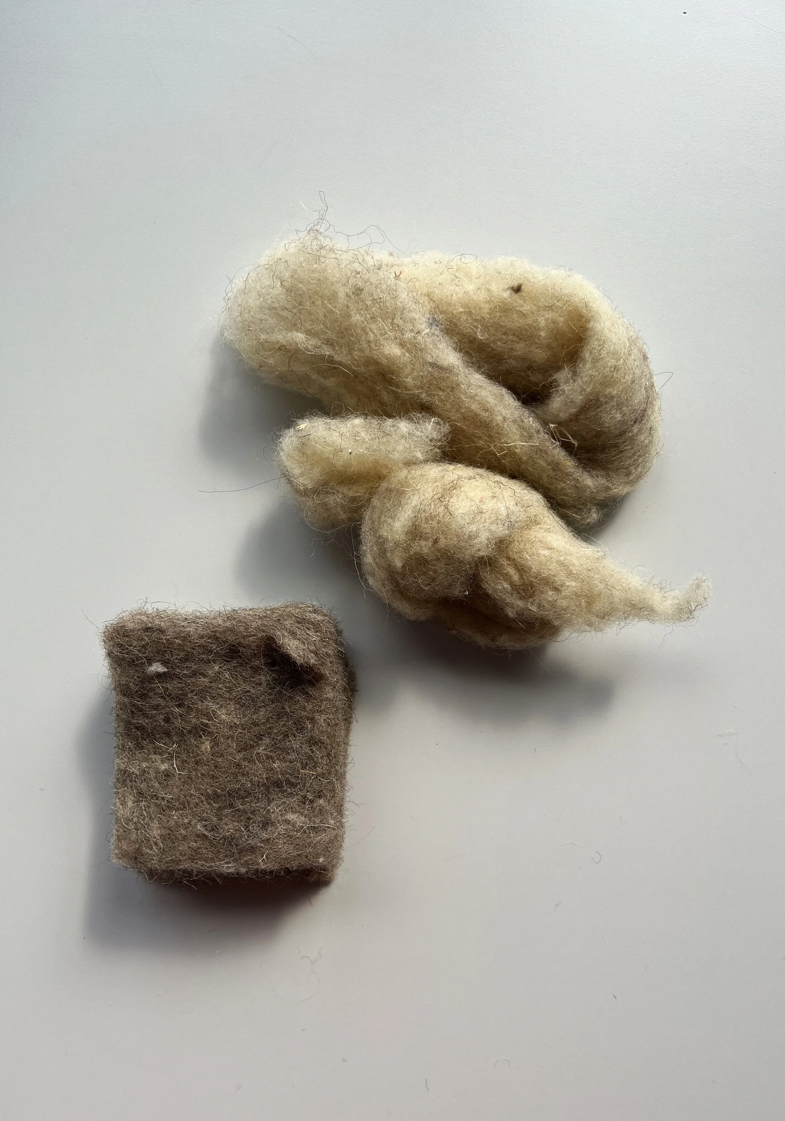 Twee stukjes wollig materiaal, schapenwol bouwmateriaal, een beige en een bruin, op een witte achtergrond.