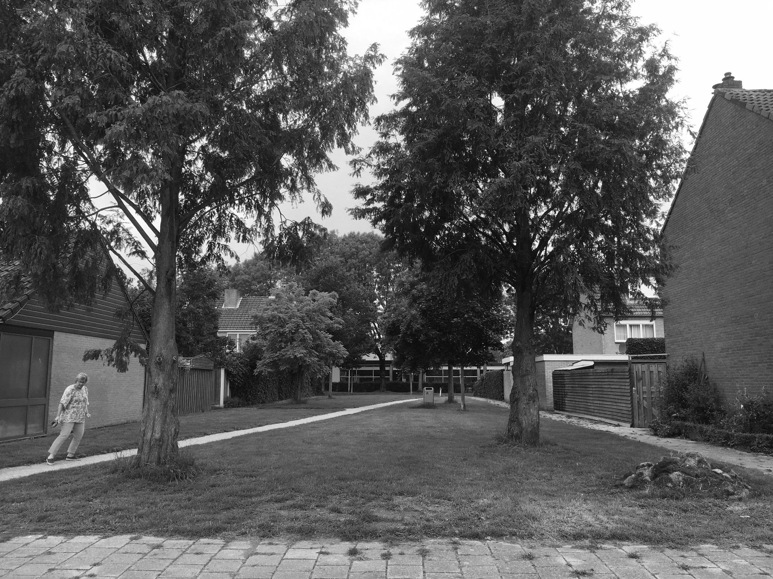 1 Blik op school.jpg