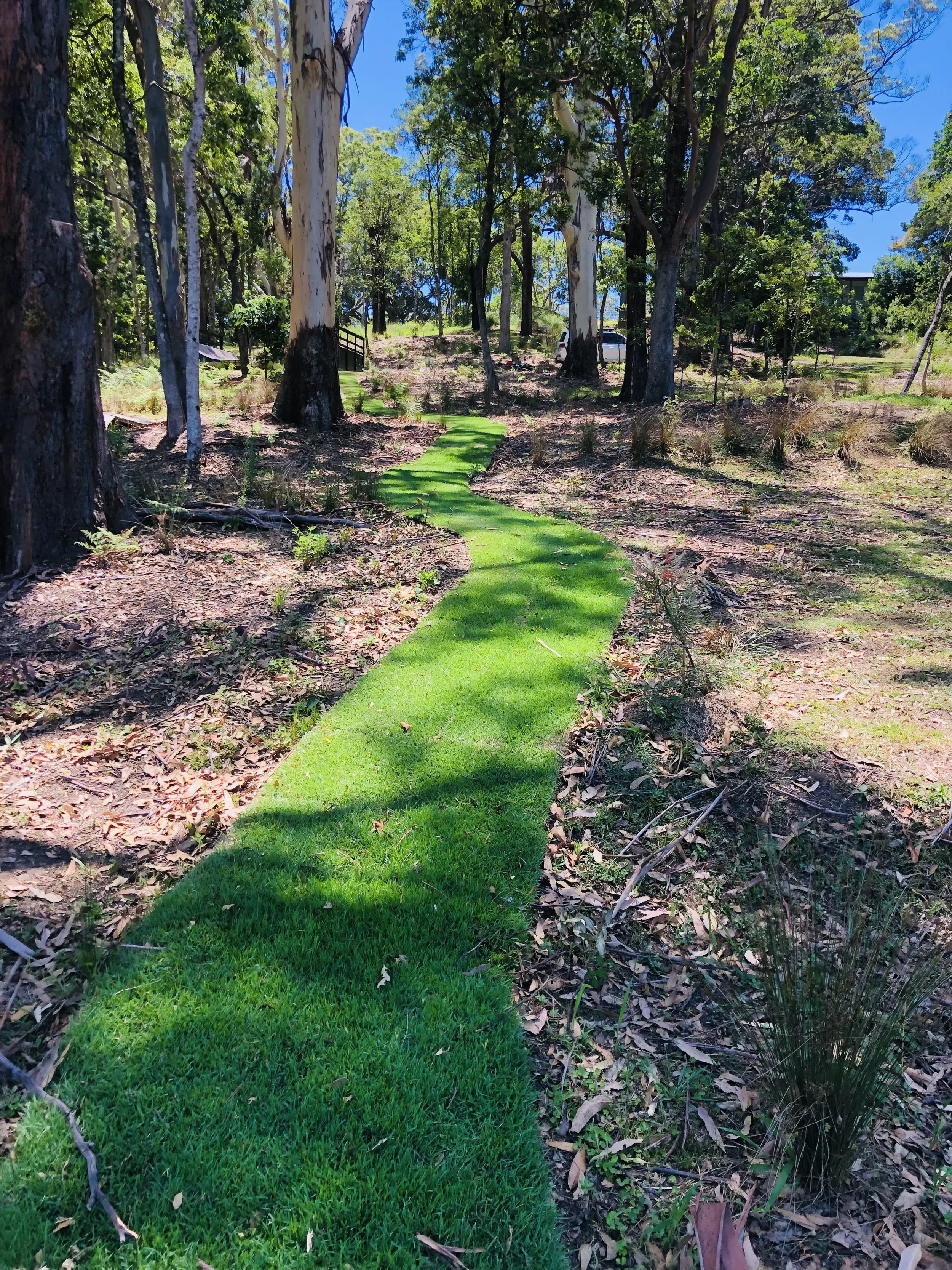 wallabytrailturf.jpeg
