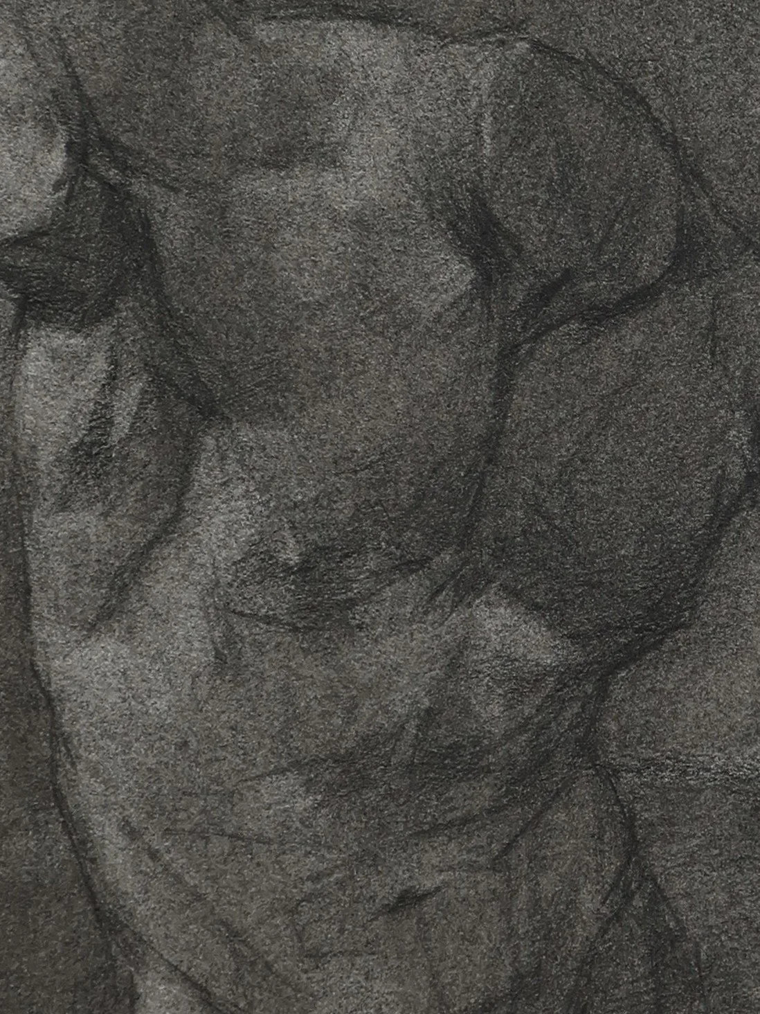 Torso cast study (2)