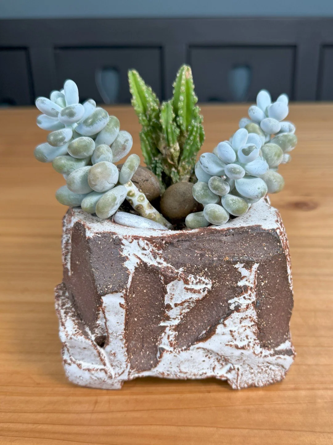 Kurinuki planter by ceramic Artist Nupur Narain DeTar, unique and hand-carved, with established succulents included.