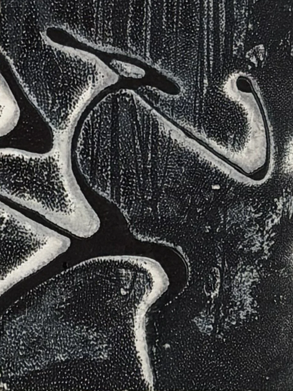 Bragadaccio 5, by Artist Noonie Minogue, an etching and monoprint using chine collé with monochromatic hues.