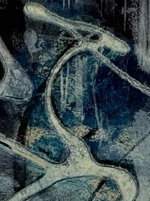 Bragadaccio I, by Artist Noonie Minogue, closeup view of the etching and monoprint, 1/1 part of a series of 50.