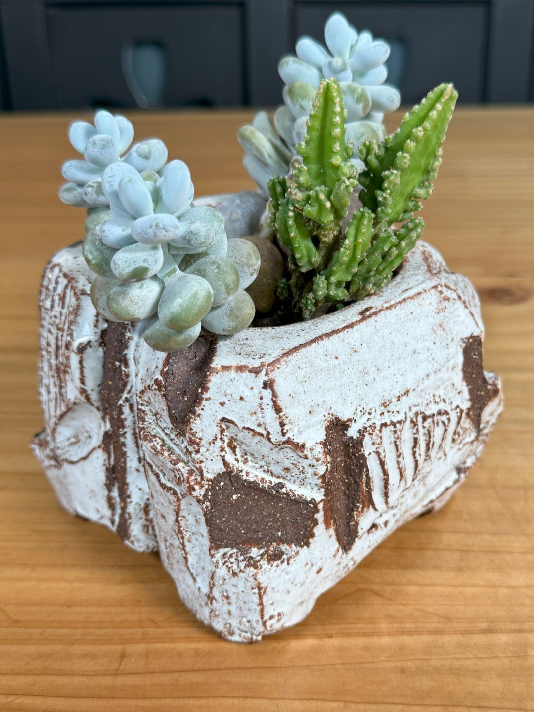 Side view of Kurinuki planter by ceramic Artist Nupur Narain DeTar, hand-carved, with established succulents included.
