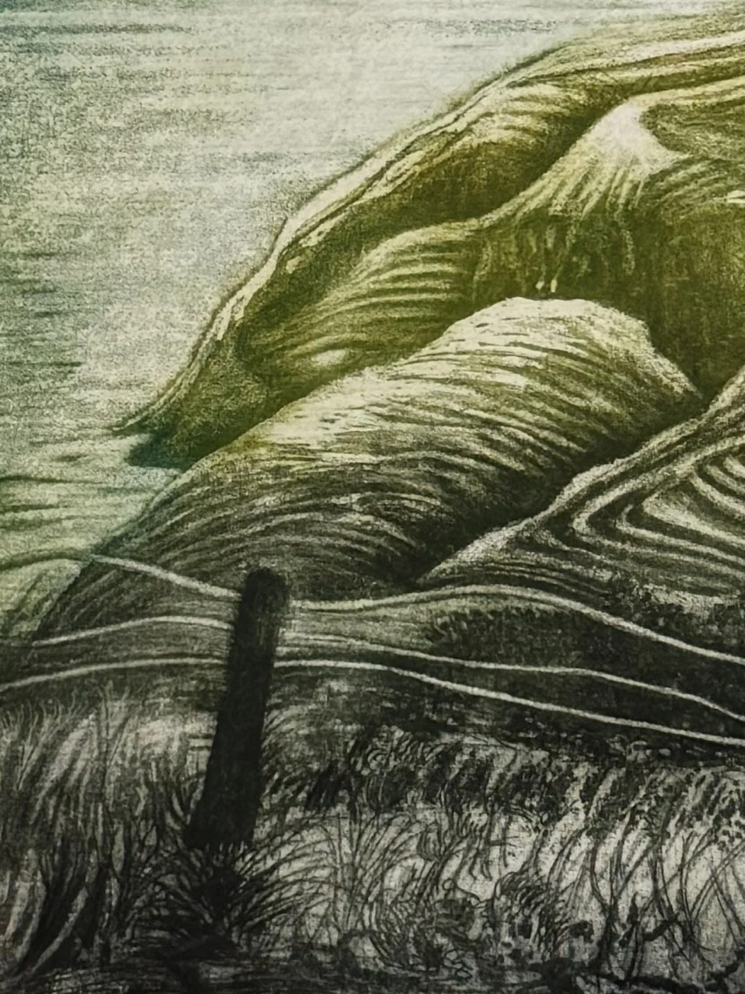 Close up of the etching Ceibwr Bay by Artist Noonie Minogue, a stunning drawing made on the Pembrokeshire coastal path.