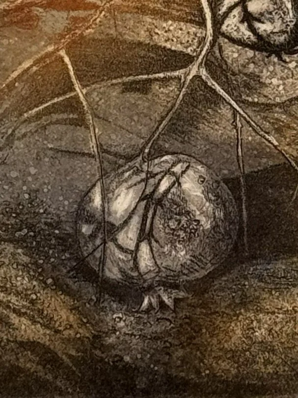 Closeup of Pomegranate, Syros 4/25 by Artist Noonie Minogue, a stunning etching and mono print.