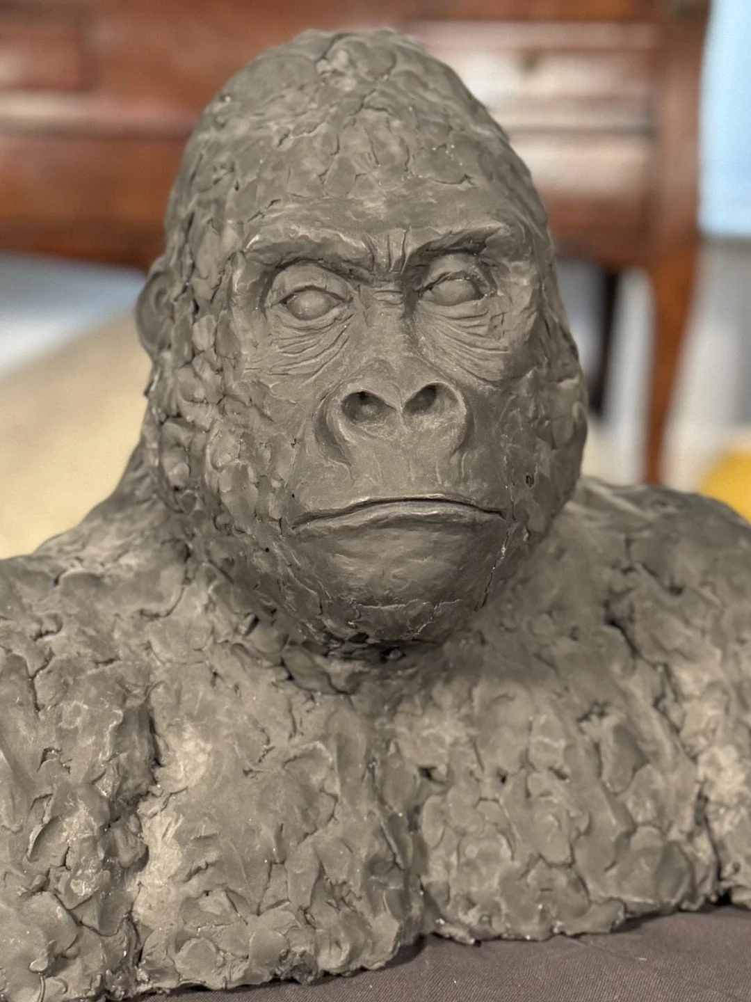 closeup of Gorilla Bust, a sculpture by Artist Julien Hipeau, cast in Jesmonite.
