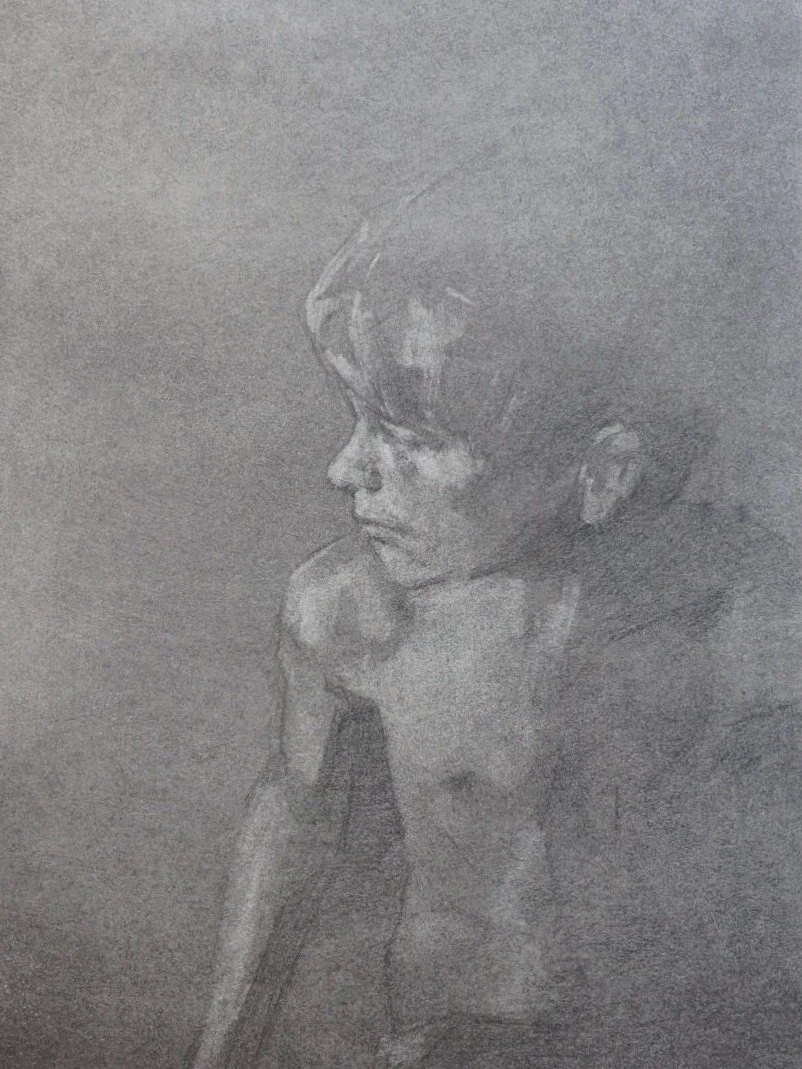 Dax study, a stunning original drawing by Artist Bran Sivas, using graphite and charcoal on paper.