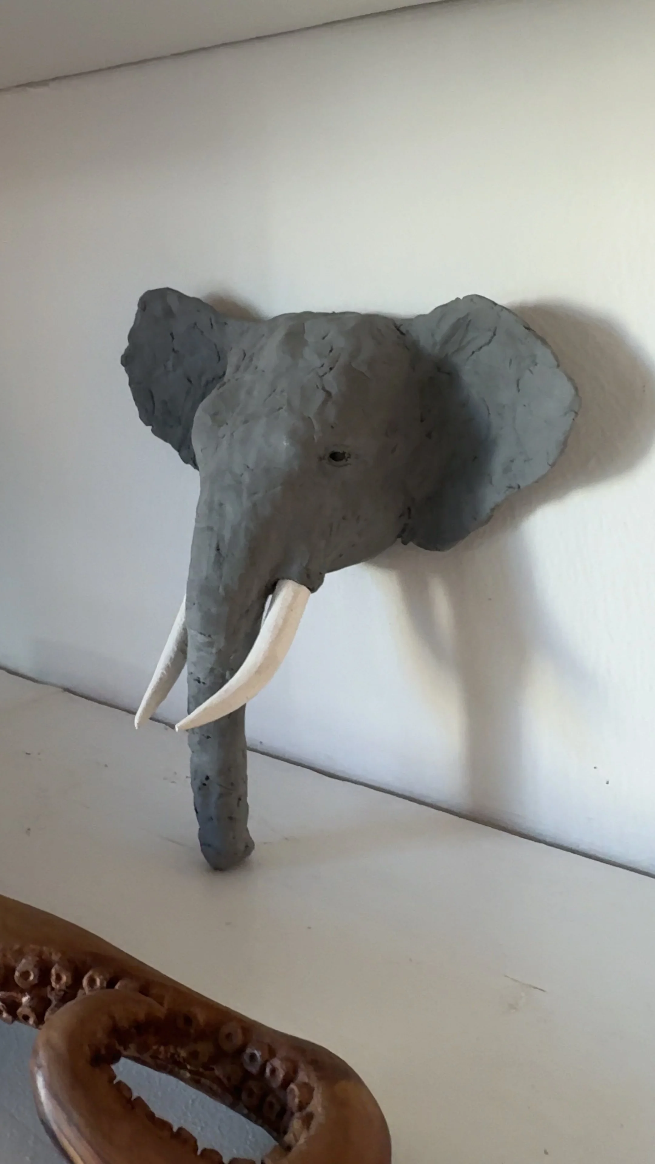 Elephant Head Template by Julien Hipeau, a preparatory study cast in Jesmonite.