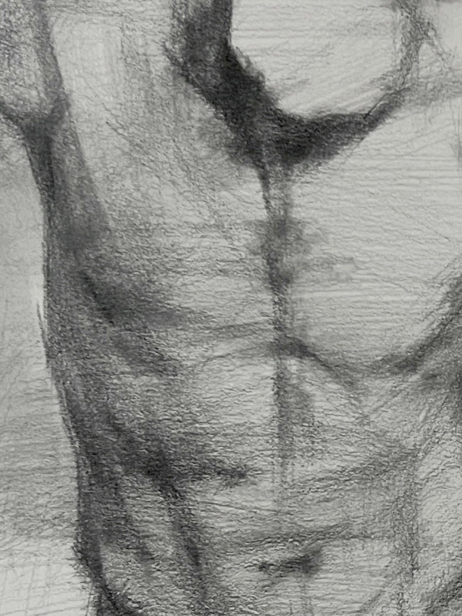 Closeup of Torso cast study, an original drawing by Artist Bran Sivas, using graphite and charcoal on paper.