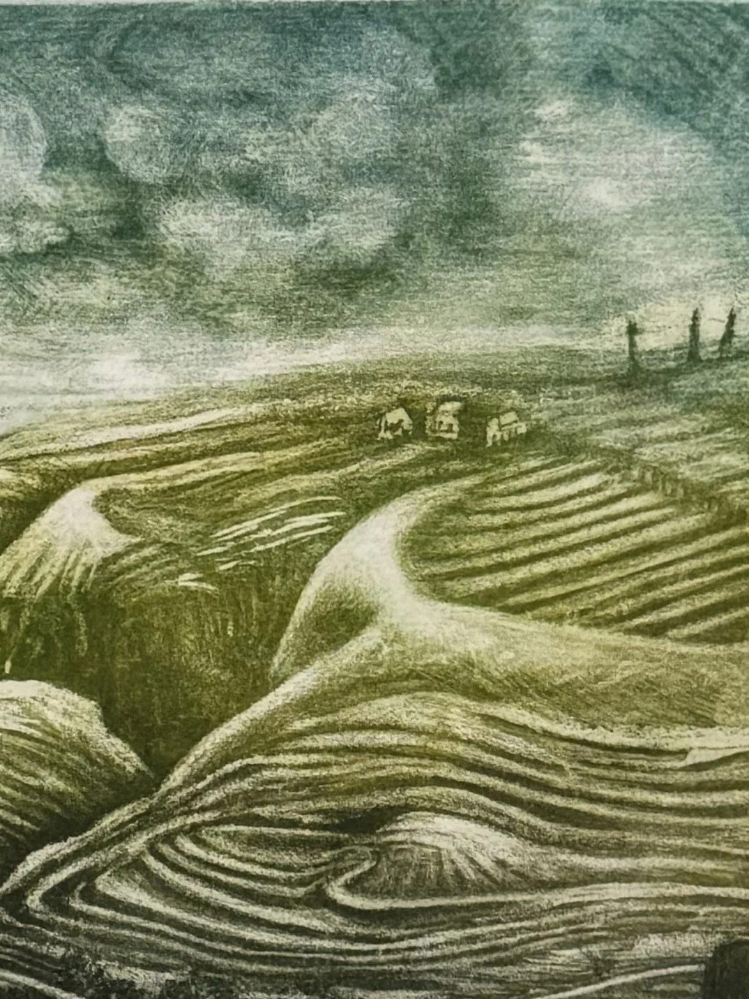 Close up of Ceibwr Bay by Noonie Minogue, a stunning drawing made whilst staying in an old farmhouse in Pembrokeshire.